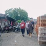 WhatsAppImage2026-02-07at1525531